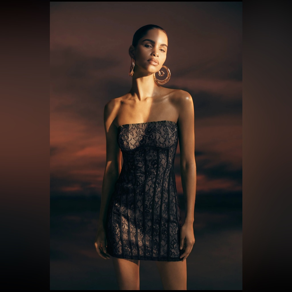 Meshki Jeannette Panelled Lace Mini Dress - Black